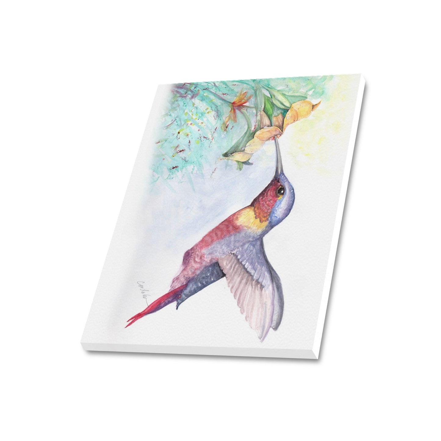 -Hummingbird Canvas Print 20"x24" Made in the USA