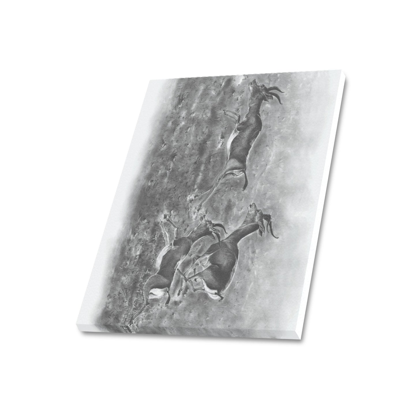 -Gazelle Canvas Print 20"x24" Made in the USA