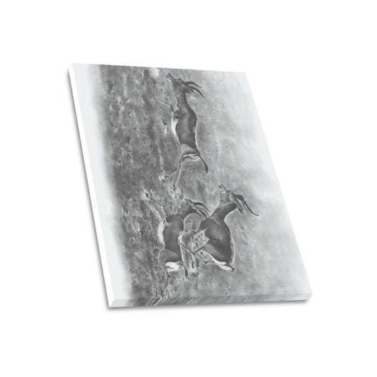 -Gazelle Canvas Print 20"x24" Made in the USA