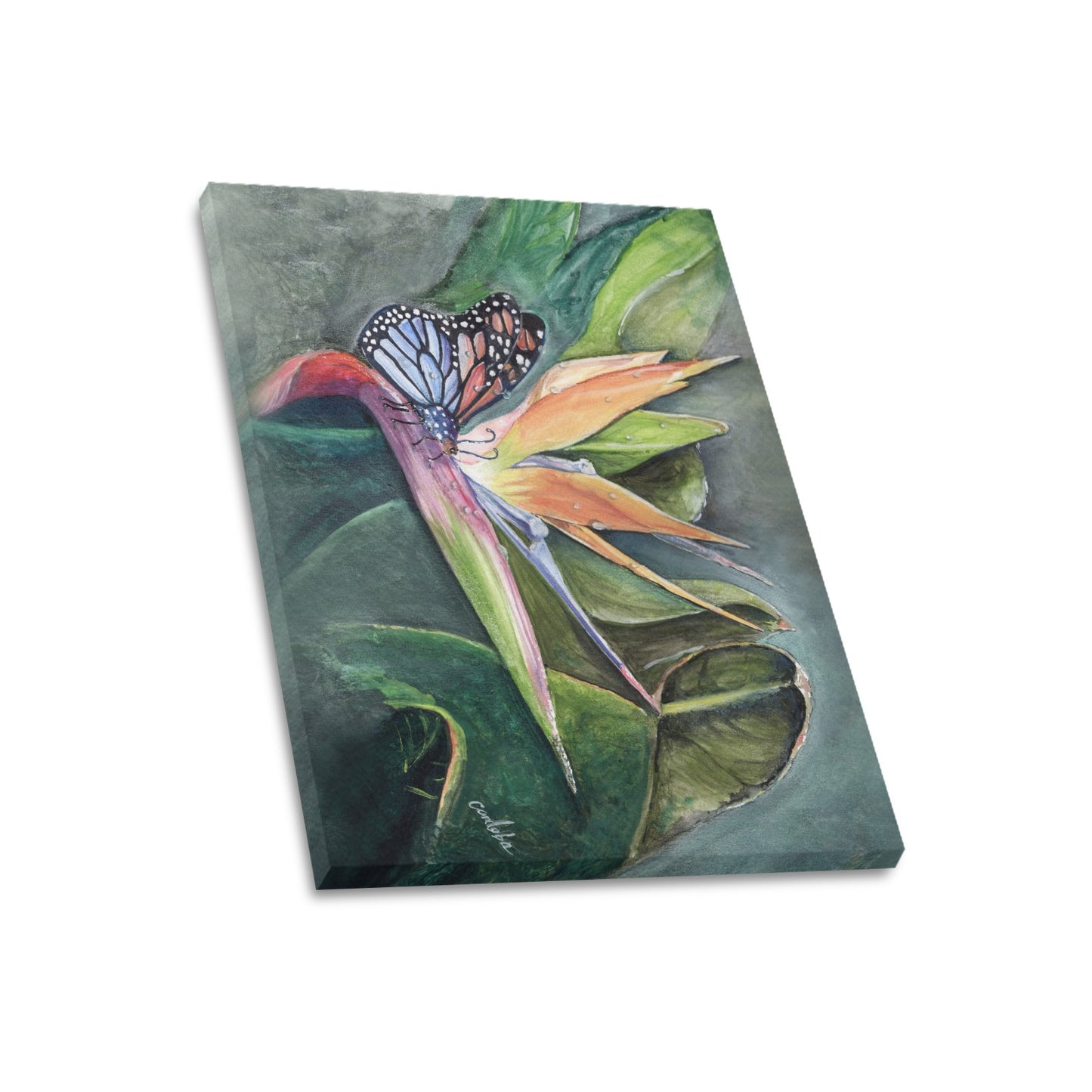 -Butterfly In Paradise Canvas Print 20"x24" Made in the USA