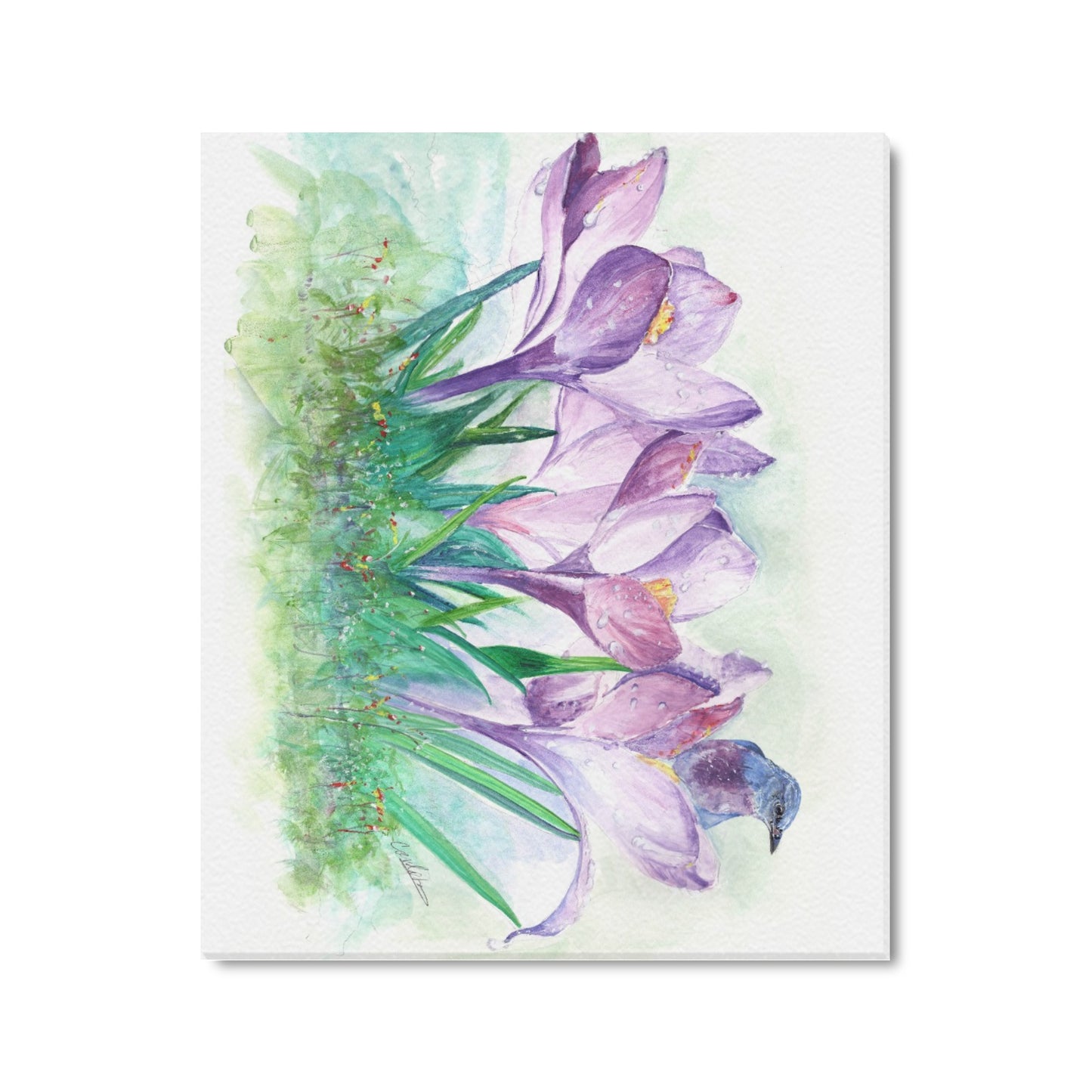 -Lavender Canvas Print 20"x24" Made in the USA