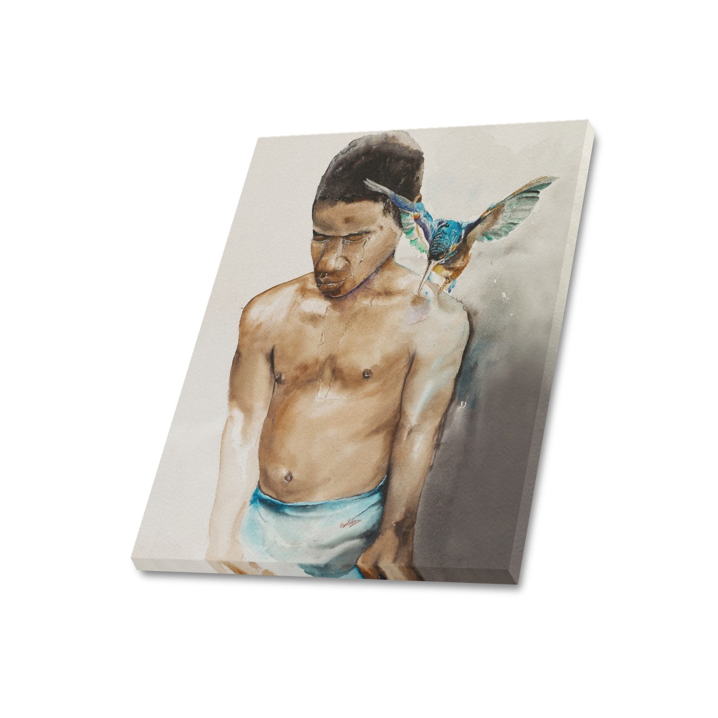 -Blue Birds Cry Canvas Print 20"x24" Made in the USA