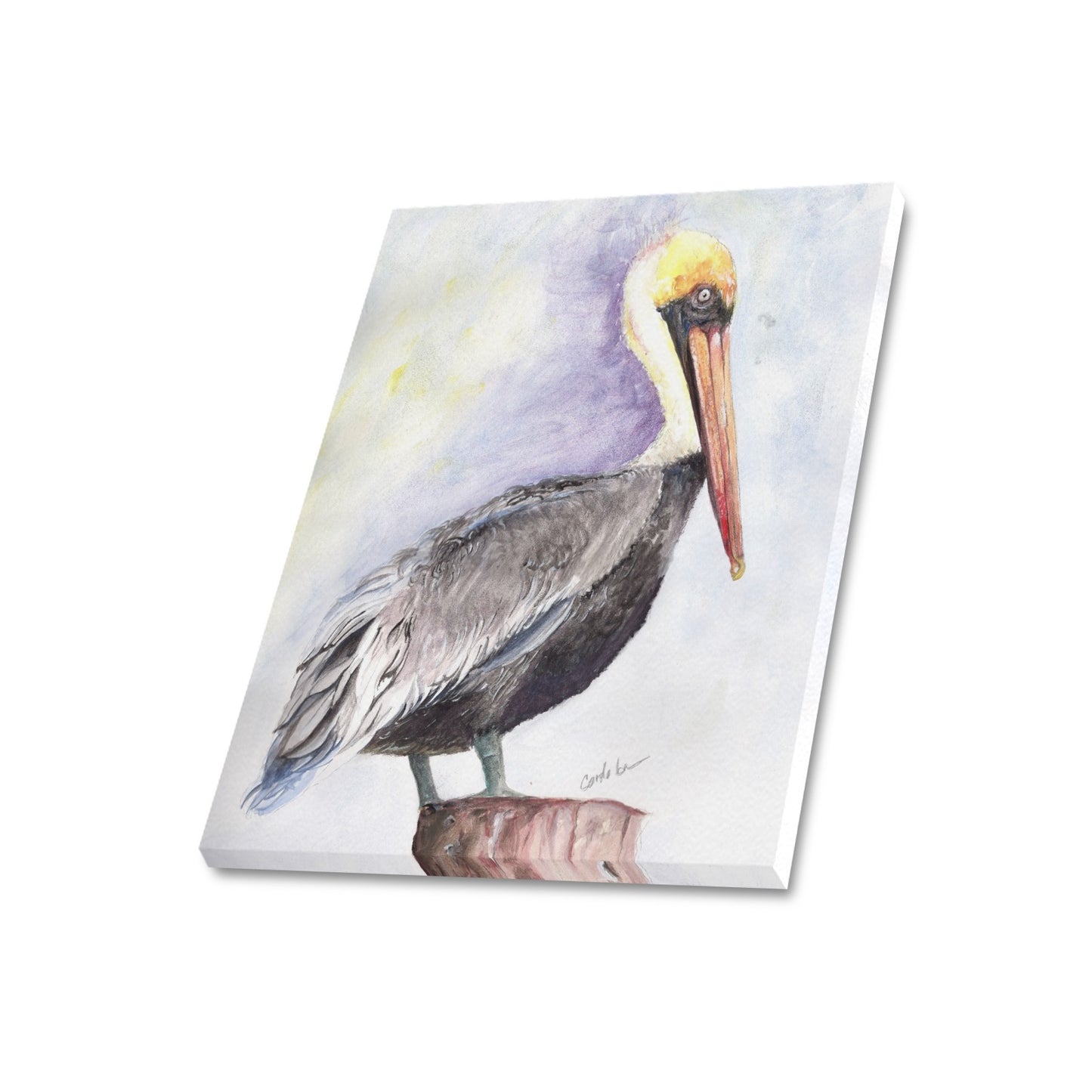 -Pelican Canvas Print 20"x24" Made in the USA
