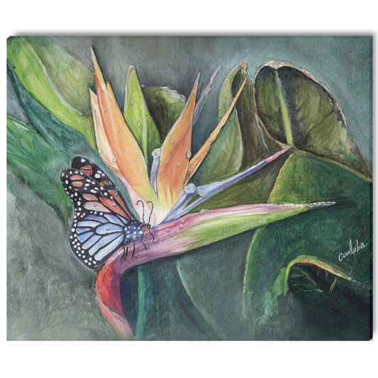 -Butterfly In Paradise Frame Canvas Print 20"x24" Made in the USA