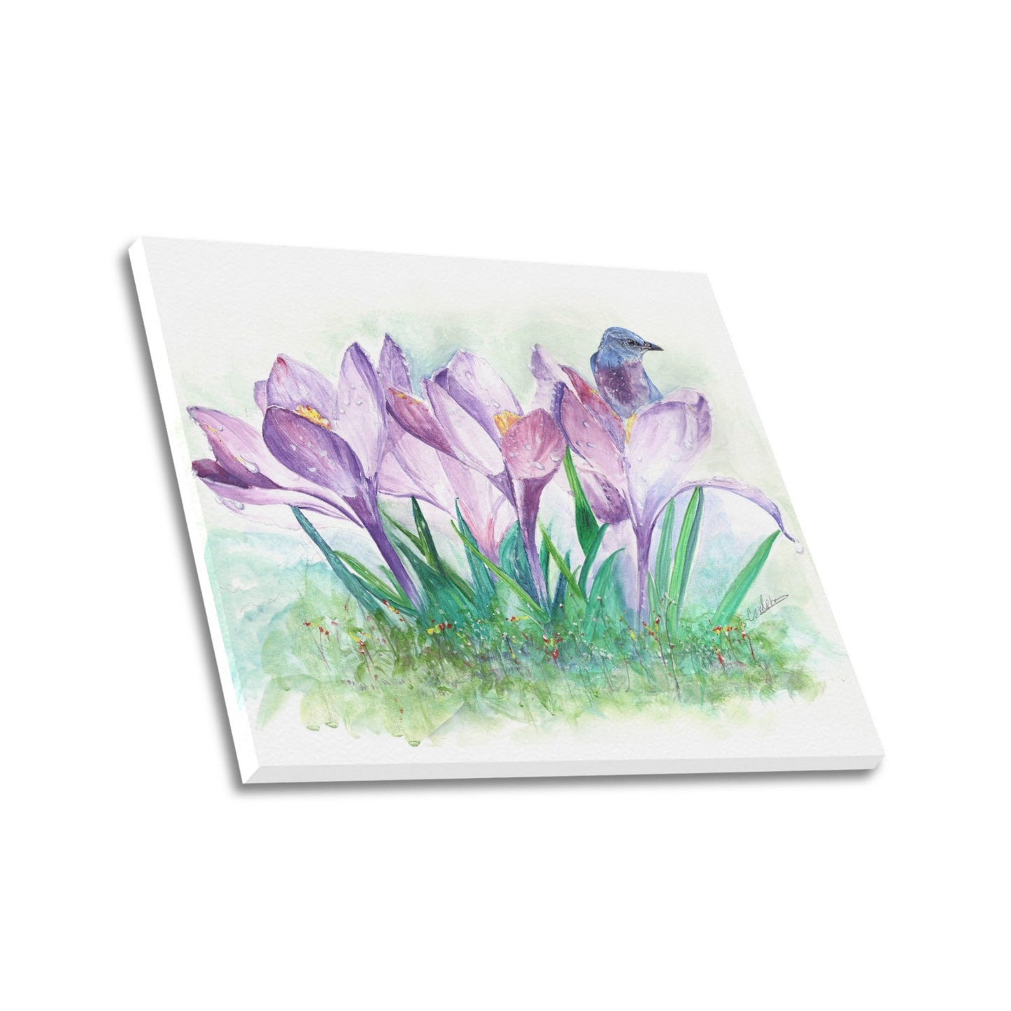 -Lavender Canvas Print 20"x24" Made in the USA
