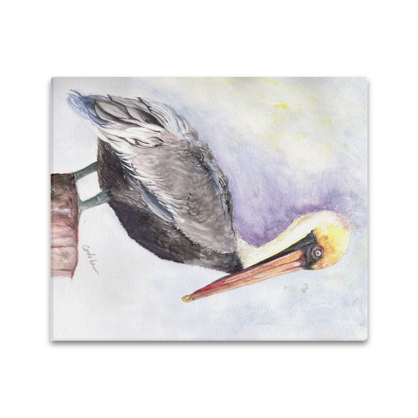 -Pelican Canvas Print 20"x24" Made in the USA