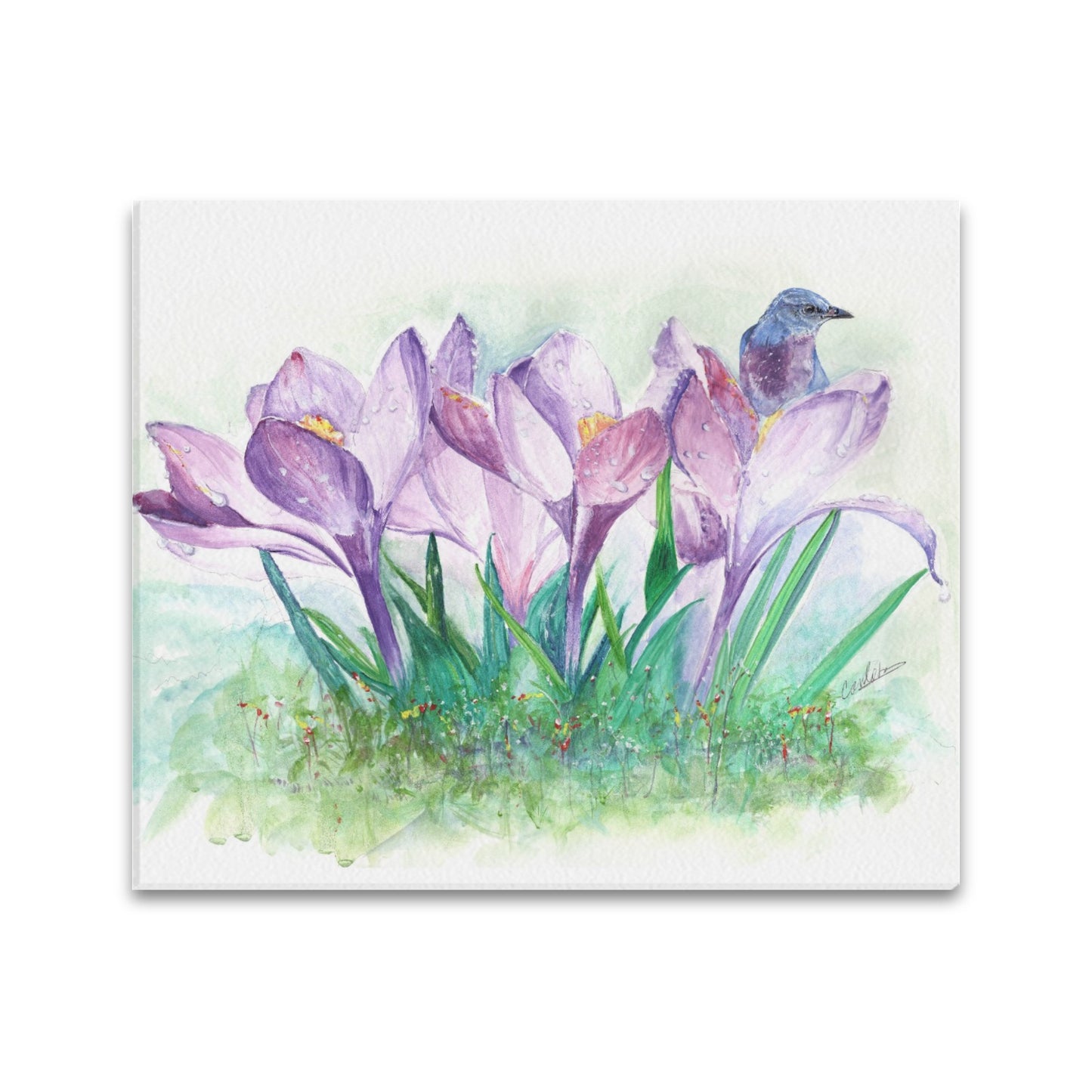 -Lavender Canvas Print 20"x24" Made in the USA