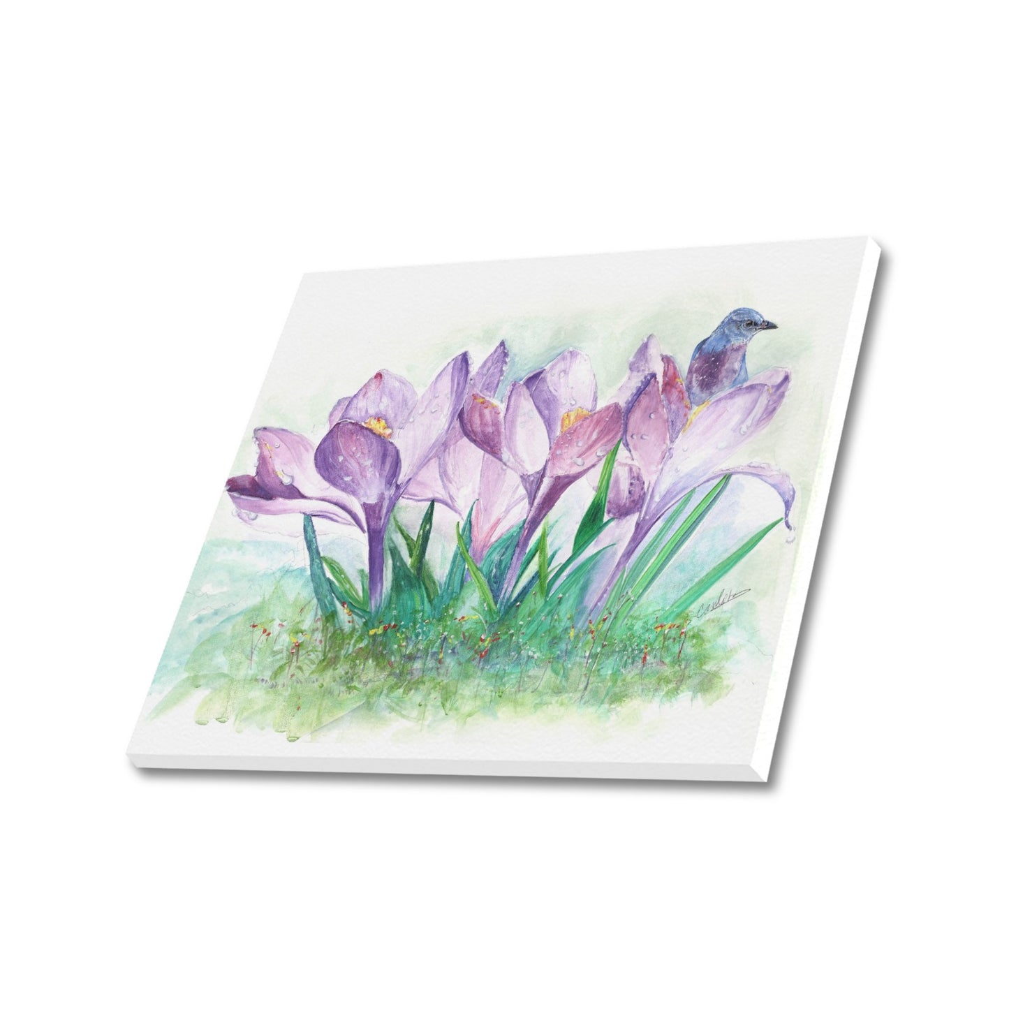 -Lavender Canvas Print 20"x24" Made in the USA