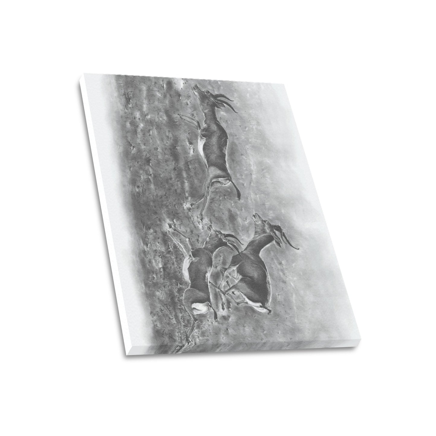 -Gazelle Canvas Print 20"x24" Made in the USA
