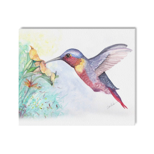 -Hummingbird Canvas Print 20"x24" Made in the USA