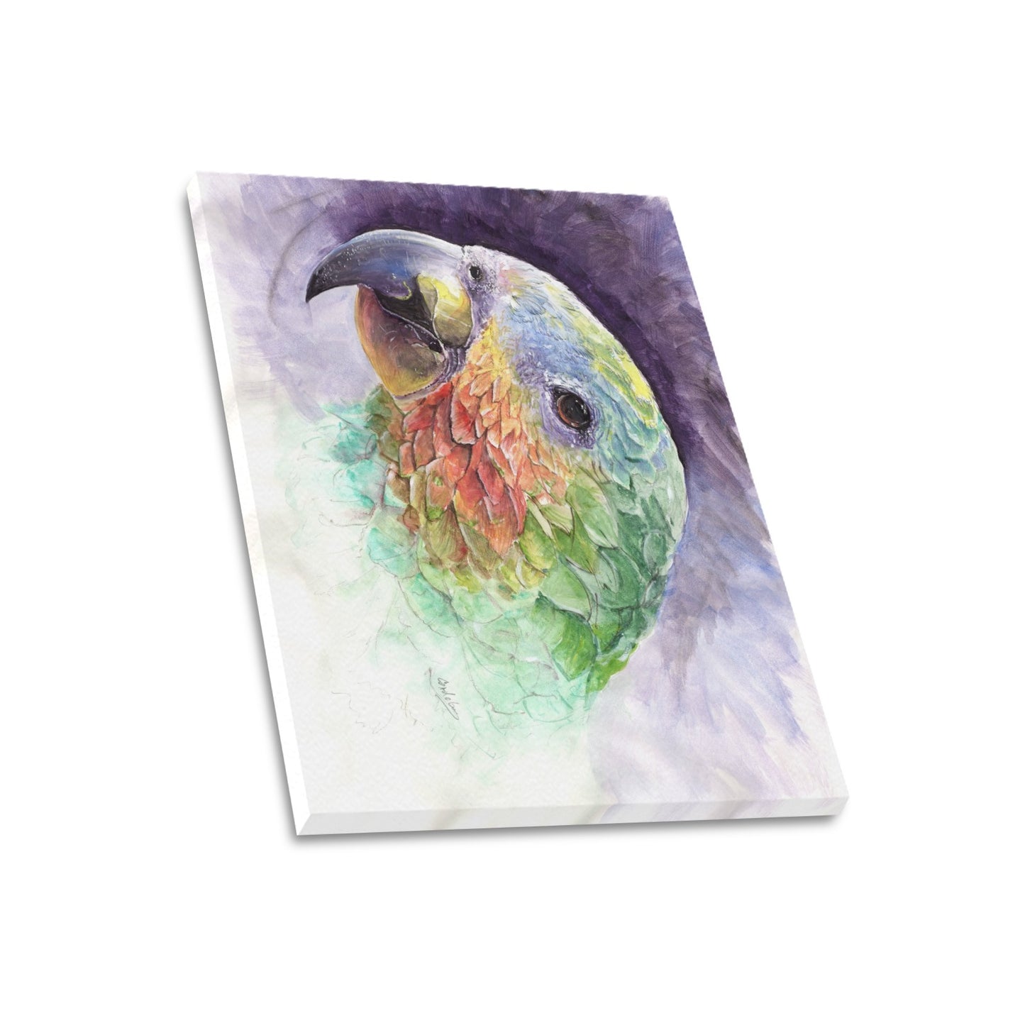 -Parrot Canvas Print 20"x24" Made in the USA