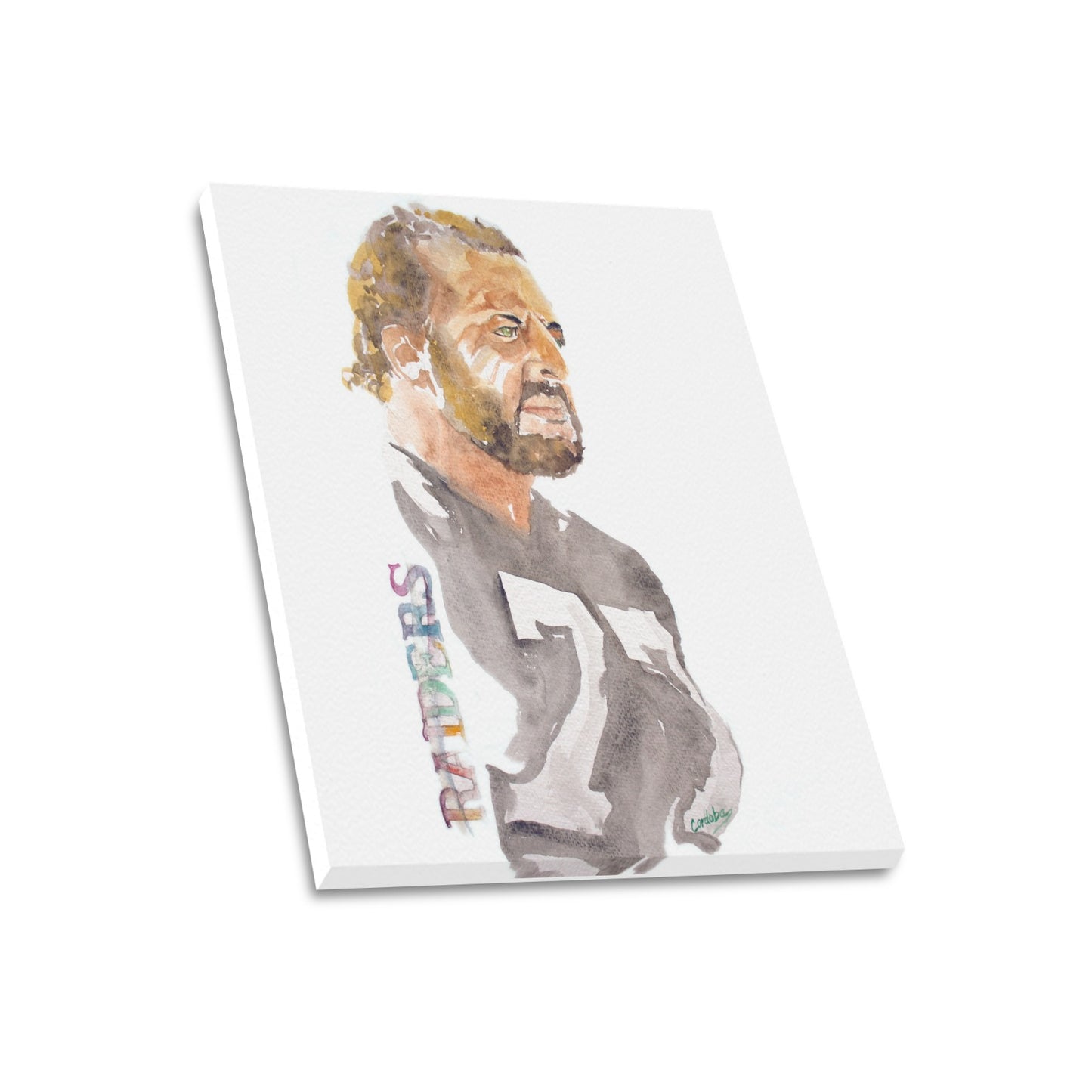 -Lile Alzedo Canvas Print 20"x24" Made in the USA