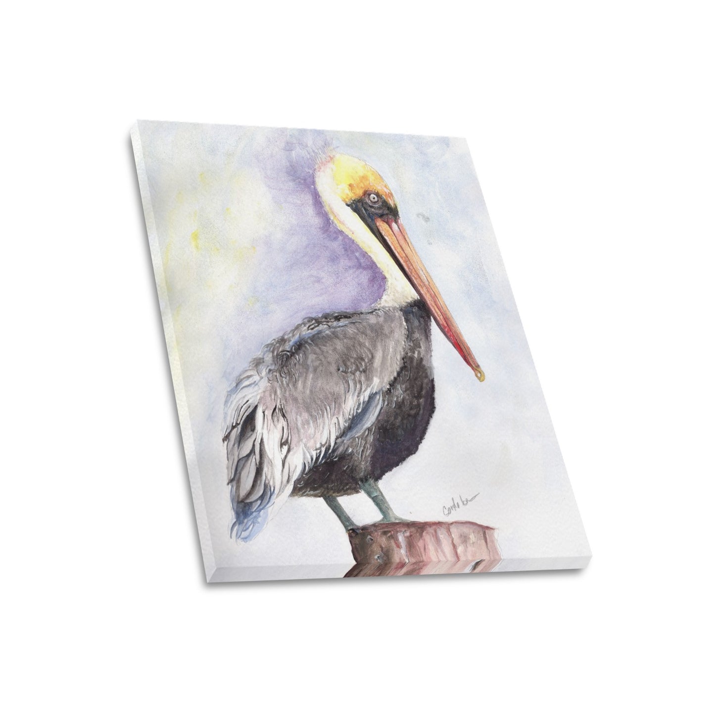 -Pelican Canvas Print 20"x24" Made in the USA