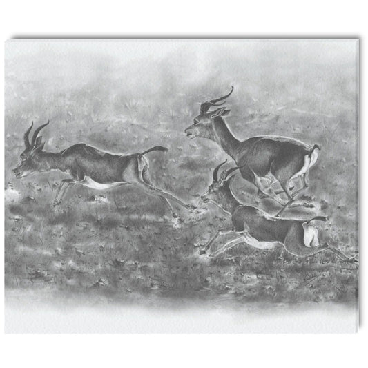 -Gazelle Canvas Print 20"x24" Made in the USA
