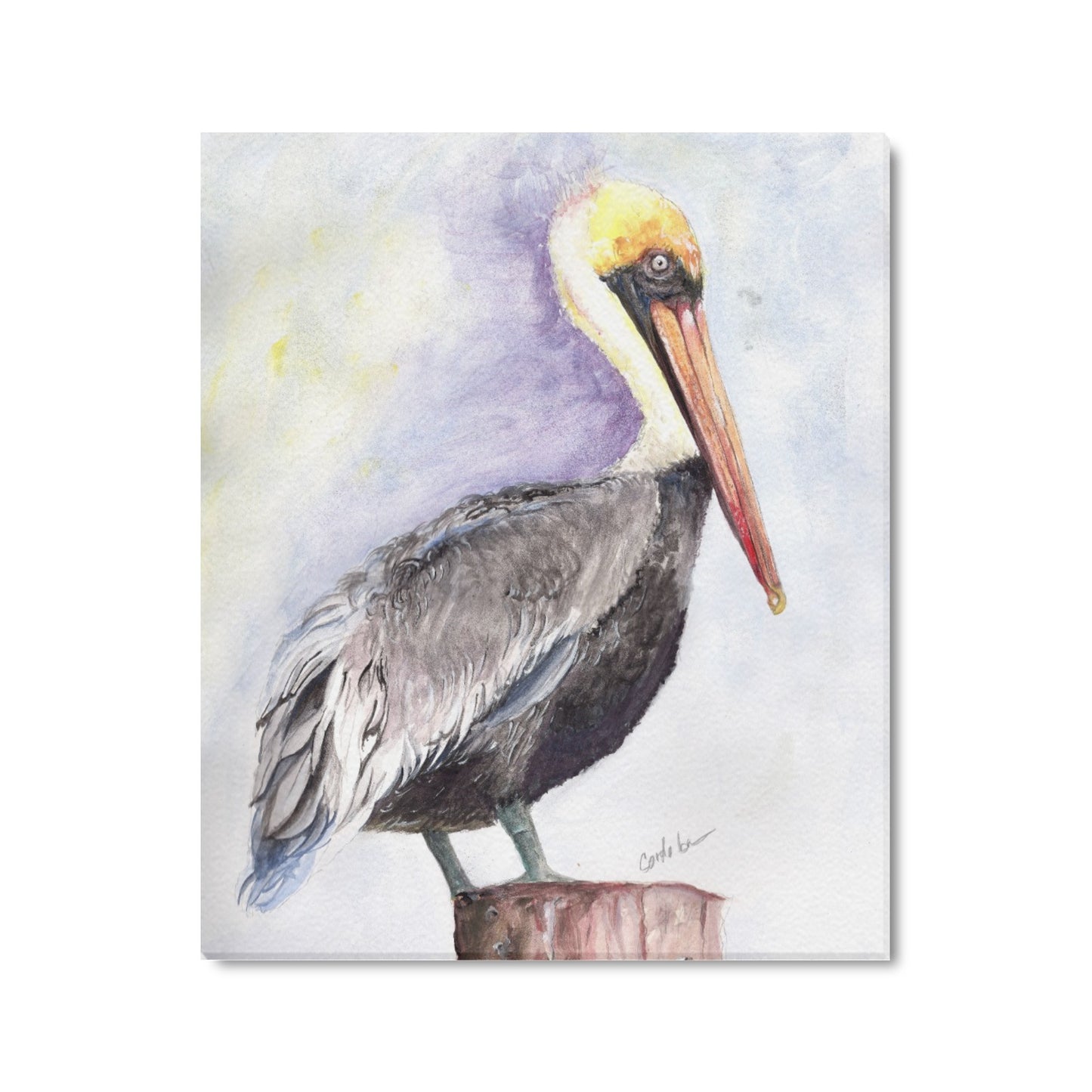 -Pelican Canvas Print 20"x24" Made in the USA