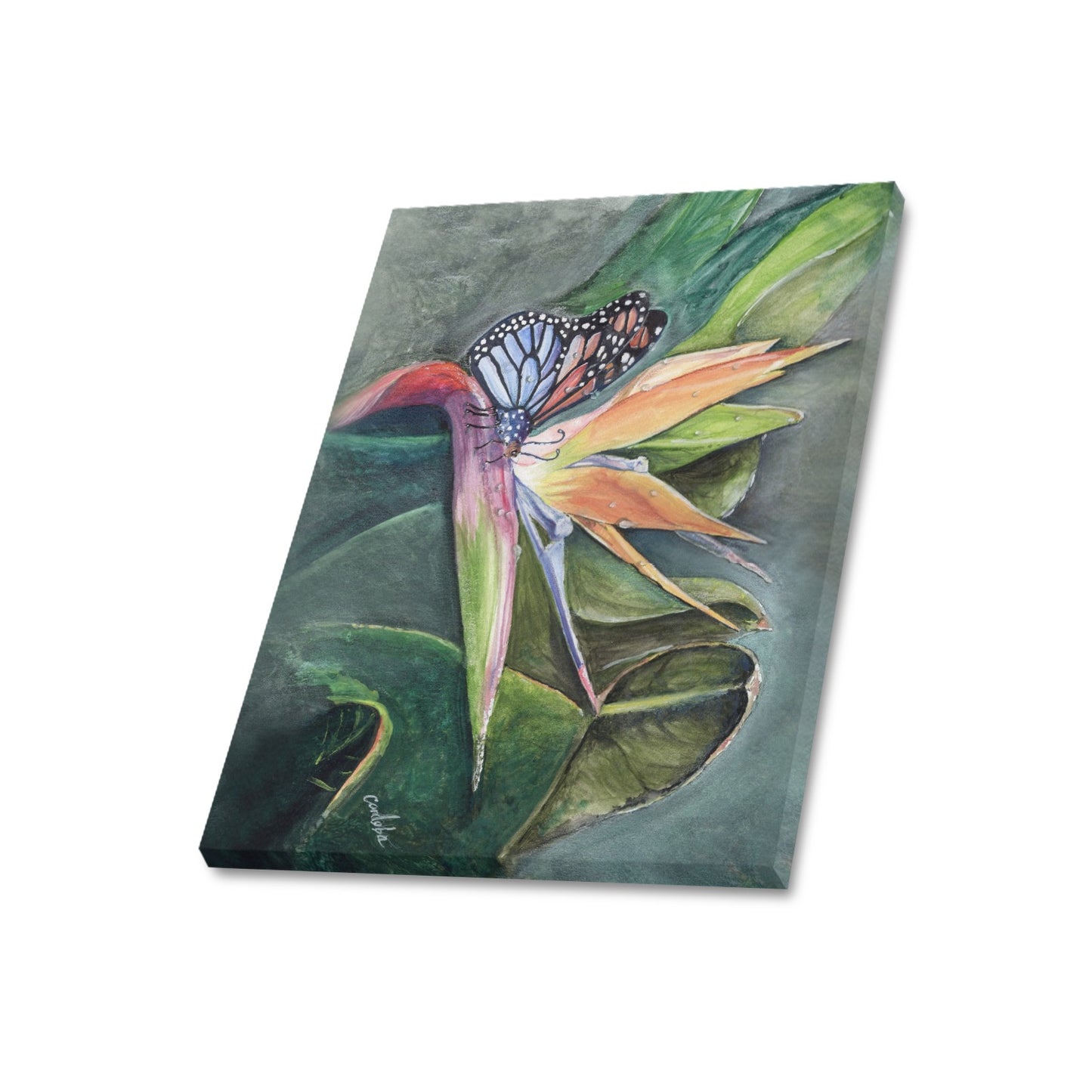 -Butterfly In Paradise Canvas Print 20"x24" Made in the USA