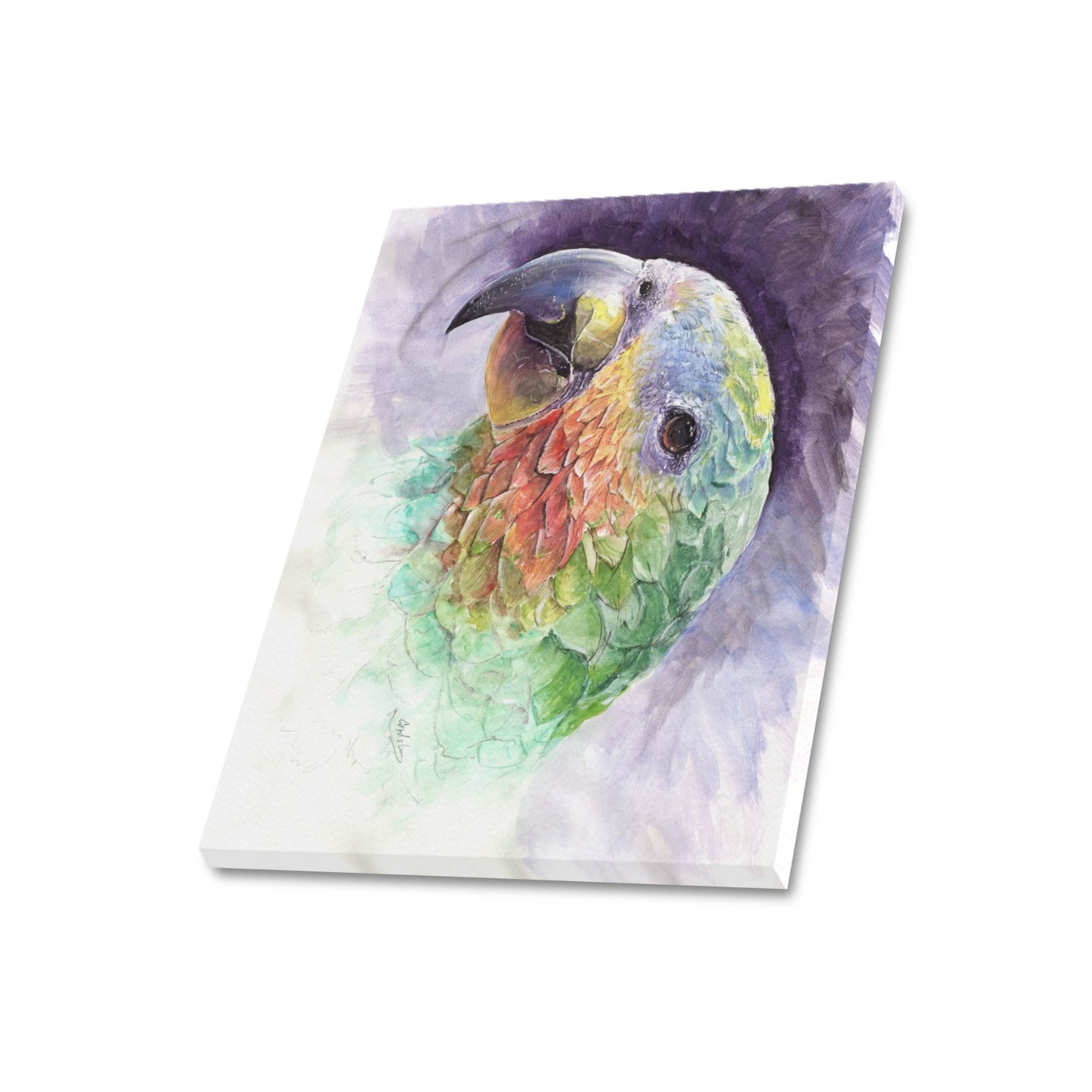 -Parrot Canvas Print 20"x24" Made in the USA