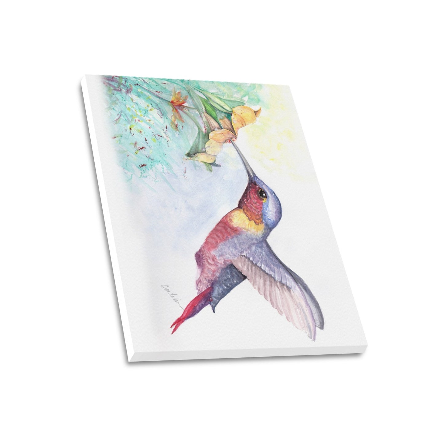 -Hummingbird Canvas Print 20"x24" Made in the USA