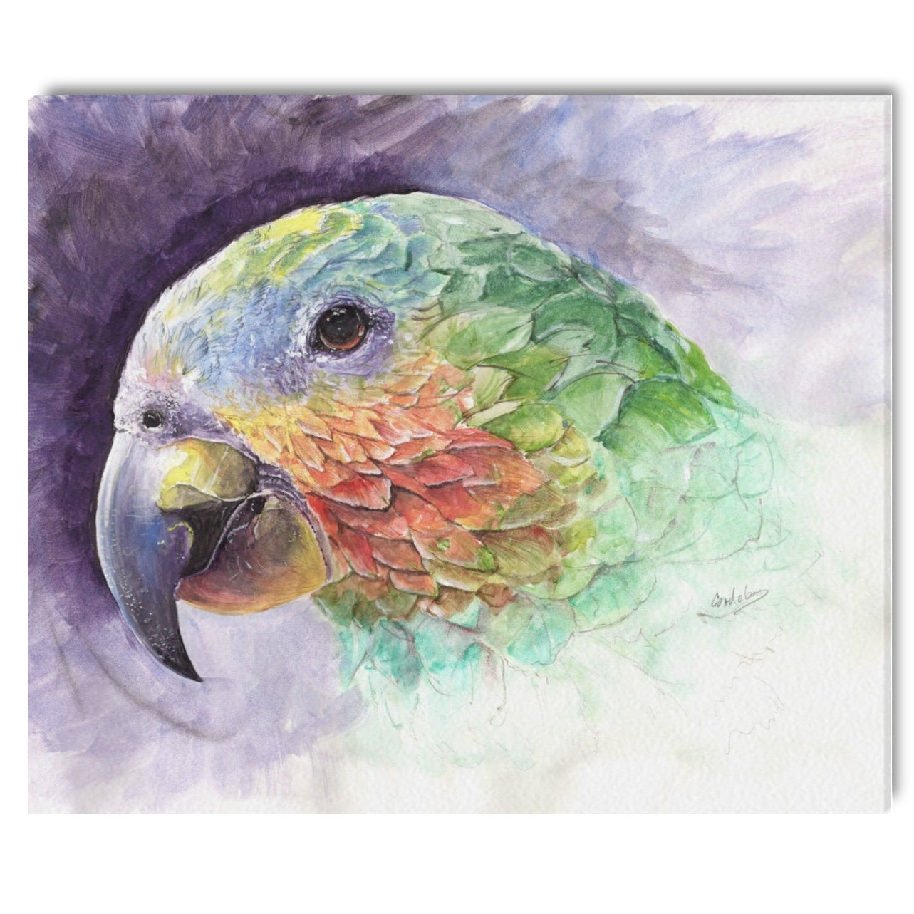 -Parrot Canvas Print 20"x24" Made in the USA