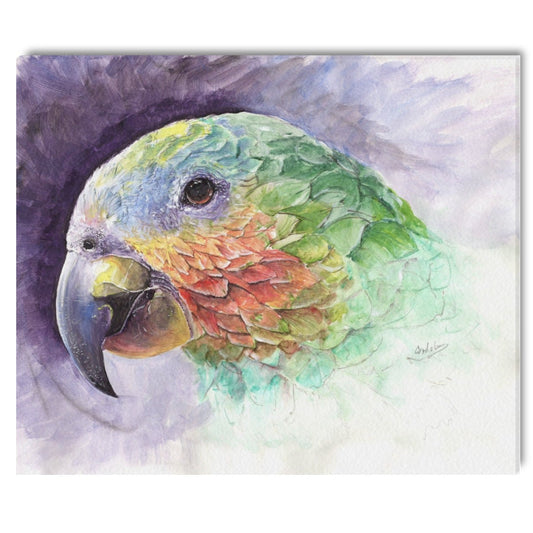 -Parrot Canvas Print 20"x24" Made in the USA