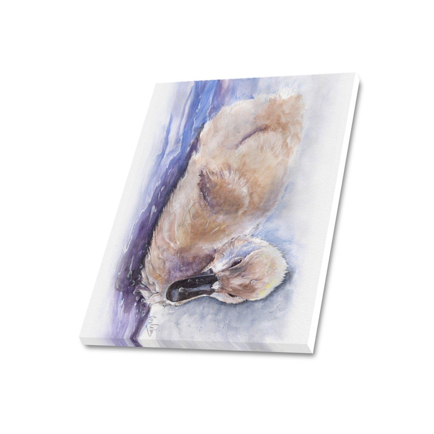 -Baby Swan Canvas Print 20"x24" Made in the USA